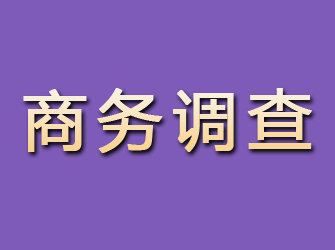 黄岛商务调查